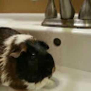 Meet your Posher, Bethany